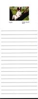 Papillon Magnetic List Pads - Set of 2