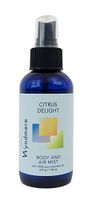 WYNDMERE NATURALS Citrus Delight Air Freshner, 4 OZ