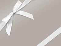 Solid Color - Silver Ultra Gloss 18"x417' Gift Wrap Half Ream Roll (1 roll) - Wraps -E6630H18