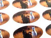 Minilabel Pack Of 48 Horse / Pony Seals , 40X20mm Oval Seal Labels, Stickers For Gift Wrapping, Presents, Envelopes, Bags Or Cards