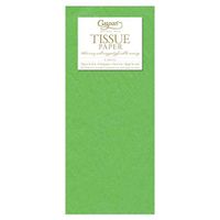 Caspari Solid Tissue Paper in Apple, 24 Sheets Included