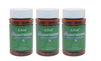 CAW Nano Cycloastragenol | 10Mg 30Enteric-Coated Capsules 3bottles(90caps in Total)