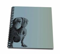 3dRose db_130560_1 Adorable Daschund Dog Pets Animals Drawing Book, 8 x 8