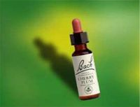 Bach Essence Willow 20 Milliliters