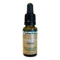 Feel Bach! Flower Clematis 20 ml