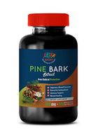 Super antioxidant Supplement - Pine BARK Extract 100 MG - Pure and Potent Ingredients - Energy Supplements for Women - 1 Bottle 90 Capsules