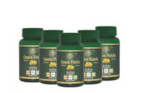 Herbo Natural AyurVedic Cassia Fistula Extract Veg Capsules (60 Capsules, 500mg) GMP Certified (Pack of 5)