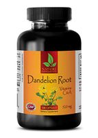 Liver Support Weight Loss - Dandelion Root 520 MG - Dietary Supplement - Dandelion Root Extract Alcohol Free - 1 Bottle 180 Capsules