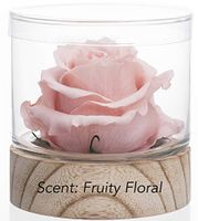 Home Scent 12oz Natural & Months Lasting Fragrance Roses Gift Birthday Gifts Gifts for her. Aromatherapy Living Room Decor Farmhouse Decor (Pale Pink/Scent Fruity Floral)