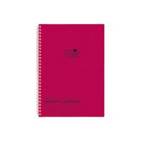 LIHIT LAB. Refillable Notebook (Journal), Lined Paper, 9.9 x 7.3 inches, Red (N1608-3)