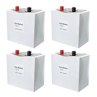 4pc Exell 489A Alkaline 225V Battery NEDA 728 Non Rechargeable