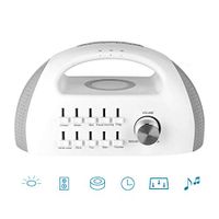 ZQKJLH Brainwave White Noise Therapy Sleeper USB Sound Electronic Sleep Meter for Baby and Adult Sleep Therapy with 10 Soothing Sounds
