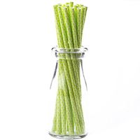 Simply Baked Paper Straw, Lime Quadrafoil, 8" long, Pack of 25, Colorful, Disposable, and Compostable