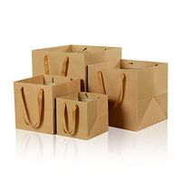 9.8inch Square Brown Kraft Paper Bags Flowers Gift Bags with Ribbon Handles,Pack of 12