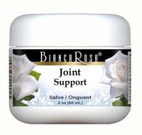Joint Support - Salve Ointment - MSM, Glucosamine and Chondroitin (2 oz, ZIN: 512856) - 2 Pack