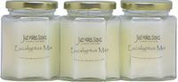 Just Makes Scents 3 Pack - Eucalyptus Mint Scented Candles | Fresh Spearmint and Relaxing Eucalyptus Fragrance | Hand Poured in The USA