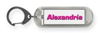 Dimension 9 Novelty Key Ring Key Chain (FFLNT-Alexandria)