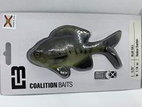 13 Fishing The Gill Redear Sunfish