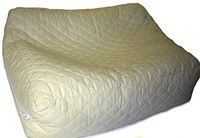Hyper-allergenic Premium Buckwheat Hull Pillow Made with Soft Premium Buckwheat Hull for Comfortable Sleep