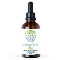 Anemarrhena A120 Alcohol Herbal Extract Tincture Anemarrhena, Zhi Mu (Anemarrhena Asphodeloides) Dried Root (4 fl oz)