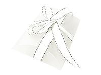 5.25" x 3.5" White Frosted Plastic Mediu Pillow Gift Box for Wedding Baby Shower Party Favors (10 pcs)