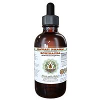 Echinacea Alcohol-Free Liquid Extract, Organic Echinacea (Echinacea Purpurea) Dried Herb Glycerite Hawaii Pharm Natural Herbal Supplement 4 oz