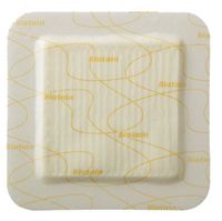 Coloplast Inc Biatain Silicone Foam Dressing 6" L x 6" W (Box of 5 Each)
