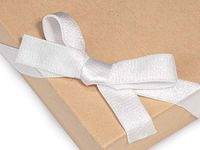 Satin Stretch Wide Loop Elastic Pre-Tied Bow - 12" Loop - White