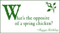 Quiplip SpringChicken' GreetingCards