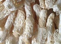 Bamboo Fungus Mushroom Dried 700 Gram