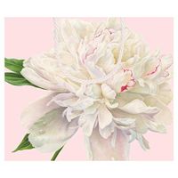 Caspari Duchess Large Gift Bag - 2 Bags