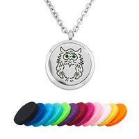 EV.YI Jewels Funny Owl Essential Oil Diffuser Necklace Aromatherapy Perfume Necklace Locket Pendant for Women Girl Men