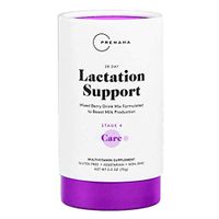 Premama Lactation Support | Breastfeeding Supplement with Fenugreek to Increase Breast Milk Supply | Vegetarian Postnatal Multivitamin Drink Mix Vitamin D Milk Thistle Calcium | 1 Pack, 28 Servings