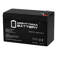 Mighty Max Battery 12V 7Ah Battery Replacement for Panasonic LC-R127CH1 + 12V Charger Brand Product
