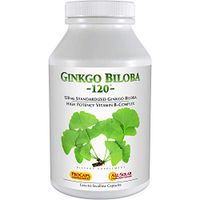 Andrew Lessman Ginkgo Biloba 120-60 Capsules – Standardized Extract to Maintain Flow of Oxygen and Nutrients to Fuel The Brain. Supports Brain, Memory and Cognitive Function. No Additives