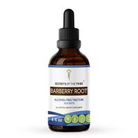 Barberry Root Alcohol-Free Tincture Extract, Organic Barberry (Berberis Vulgaris) Dried Root Bark Tincture Supplement (4 fl oz)