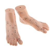 Dovewill Reflex Zone of Foot, Acupuncture Point Model Guide for Massage, Lab Teaching Supply Sculpture