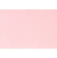 #17 Mini Flat Card (2 9/16 x 3 9/16) - Candy Pink (500 Qty.)