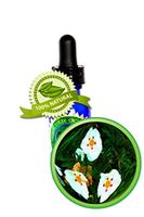 Labdanum (Rock Rose) Absolute Oil - 100% Pure (Cistus ladanif) - 15ml (1/2 oz)