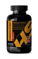 Digestive aid - ECHINACEA Extract - Echinacea Extract - 1 Bottle 100 Capsules