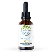Eucalyptus A60 Alcohol Herbal Extract Tincture, Super-Concentrated Organic Eucalyptus (Eucalyptus Globulus) Dried Leaf (2 fl oz)