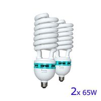 LimoStudio 65 Watt Fluorescent Full Spectrum Pure White Daylight Balanced Studio Light Bulb, AGG118-A