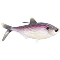 13 Fishing BAMF Shad Purple Shad