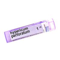 Hypericum Perforatum 1M Md