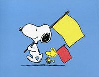 Peanuts 20 Notecards and Envelopes