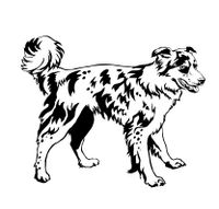 Cute border collie Vinyl Decal Sticker dog pet (BLACK)