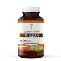 Tribulus 120 Capsules, 1000 mg, Organic Tribulus (Tribulus Terrestris) Dried Fruit (120 Capsules)