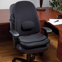 ObusForme Lowback Backrest Support System - Adjustable Lumbar Support, Contoured Cushioning Support, Handles, Hypoallergenic Cover. Portable Lumbar Support Cushion