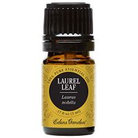 Edens Garden Laurel Leaf Essential Oil, 100% Pure Therapeutic Grade (Highest Quality Aromatherapy Oils- Congestion & Energy), 5 ml