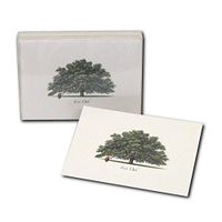 Earth Sky + Water - Live Oak Notecard Set - 8 Blank Cards with Envelopes